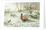 Cock Pheasant and Chaffinch by Carl Donner