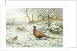 Cock Pheasant and Chaffinch by Carl Donner