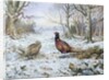 Pair of Pheasants with a Wren by Carl Donner