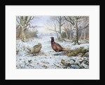 Pair of Pheasants with a Wren by Carl Donner