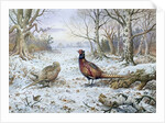 Pair of Pheasants with a Wren by Carl Donner