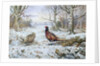 Pair of Pheasants with a Wren by Carl Donner