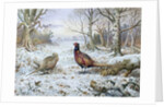 Pair of Pheasants with a Wren by Carl Donner