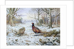 Pair of Pheasants with a Wren by Carl Donner
