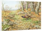 Pheasants with Blue Tits by Carl Donner