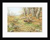 Pheasants with Blue Tits by Carl Donner