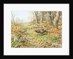 Pheasants with Blue Tits by Carl Donner