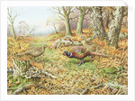 Pheasants with Blue Tits by Carl Donner