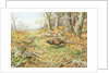 Pheasants with Blue Tits by Carl Donner