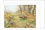 Pheasants with Blue Tits by Carl Donner
