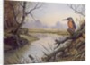 Kingfisher: Autumn River Scene by Carl Donner