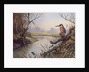 Kingfisher: Autumn River Scene by Carl Donner