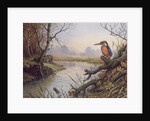 Kingfisher: Autumn River Scene by Carl Donner
