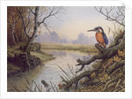 Kingfisher: Autumn River Scene by Carl Donner