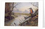 Kingfisher: Autumn River Scene by Carl Donner