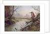 Kingfisher: Autumn River Scene by Carl Donner
