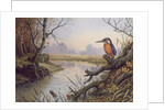 Kingfisher: Autumn River Scene by Carl Donner