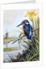 Kingfisher with Flag Iris and Windmill by Carl Donner