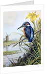 Kingfisher with Flag Iris and Windmill by Carl Donner