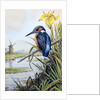 Kingfisher with Flag Iris and Windmill by Carl Donner