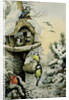 Winter Bird Table with Blue Tits, Great Tits, House Sparrows and a Robin by Carl Donner