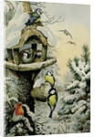 Winter Bird Table with Blue Tits, Great Tits, House Sparrows and a Robin by Carl Donner