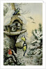 Winter Bird Table with Blue Tits, Great Tits, House Sparrows and a Robin by Carl Donner