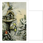 Winter Bird Table with Blue Tits, Great Tits, House Sparrows and a Robin by Carl Donner