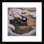 Hooded Mergansers on a Pool by Carl Donner