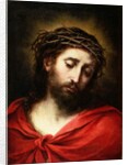 Ecce Homo, or Suffering Christ, 1660-70 by Bartolome Esteban Murillo