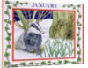 January by Catherine Bradbury