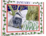 January by Catherine Bradbury