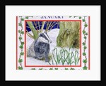 January by Catherine Bradbury