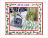 January by Catherine Bradbury