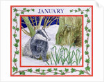 January by Catherine Bradbury