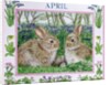 April by Catherine Bradbury