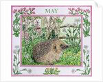 May by Catherine Bradbury