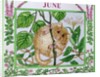 June by Catherine Bradbury