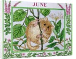 June by Catherine Bradbury