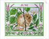 June by Catherine Bradbury
