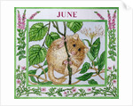 June by Catherine Bradbury