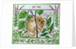 June by Catherine Bradbury