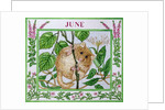 June by Catherine Bradbury