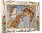 August by Catherine Bradbury