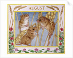 August by Catherine Bradbury