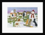 The Snowman and his Friends by Catherine Bradbury