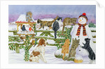 The Snowman and his Friends by Catherine Bradbury