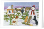The Snowman and his Friends by Catherine Bradbury