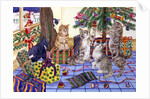 The Cats' Christmas by Catherine Bradbury