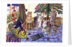 The Cats' Christmas by Catherine Bradbury
